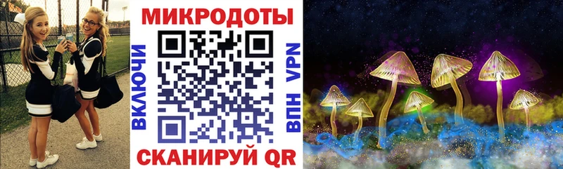 Купить закладки  Родники  Псилоцибиновые грибы MAGIC MUSHROOMS 